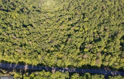 ARCHWOOD Trail lot: 342, WINCHESTER, VA 22602