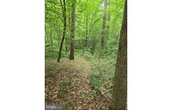 BAGWELL DRIVE, SCOTTSBURG, VA 24589