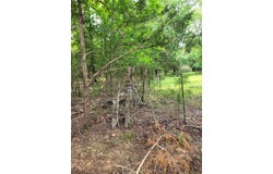 Tbd CR 3145, Clarksville, TX 75426