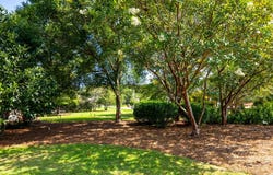 164 Glenwood Way, Smiths Station, AL 36877