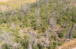 Lutolf Ln lot: 1656, Fort Garland, CO 81133