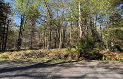 201 Sharon Lane, Thornhurst, PA 18424