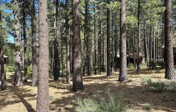 546 Pleasant Valley Road, Markleeville, CA 96120
