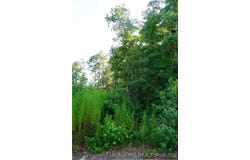 Lakeview Drive lot: 6, Red Springs, NC 28377