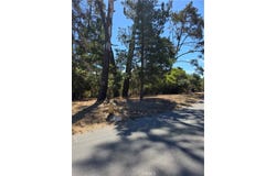 2418 Malvern Street, Cambria, CA 93428