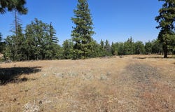 Ramsey RD, Dufur, OR 97021