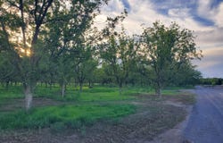 3620 Sparrow Road, Las Cruces, NM 88007