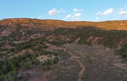 15590 Red Mountain Lane, Collbran, CO 81624