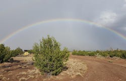 120 Phoenix Drive, Magdalena, NM 87825