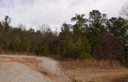 E 22nd Ave, Phenix City, AL 36867