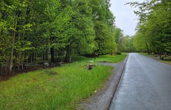 1230 N Lehigh River J Drive, Clifton Township, PA 18424