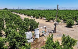 21868 E Manning Avenue, Reedley, CA 93654