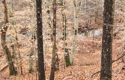 LOT 6 Brooks Mill RD, Glade Hill, VA 24092