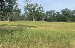 Jim Dandy Road, Cottonwood, CA 96022