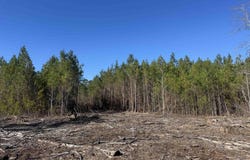 8862 Ware Dr., Nichols, SC 29581