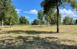 CASSADY STREET, UMATILLA, FL 32784