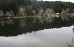71381 FISHHAWK RD, Birkenfeld, OR 97016