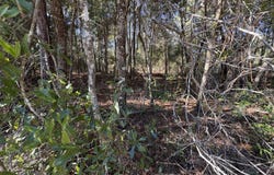 431 Brett Avenue, Interlachen, FL 32148