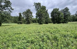 4A Hwy 62, Highland, AR 72542