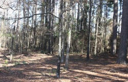 Fox Run, Nashville, AR 71852