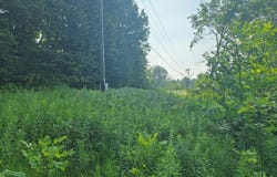 00 14 Mile Rd, Leroy, MI 49655