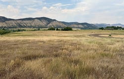 1200 Flag Creek Drive, Meeker, CO 81641