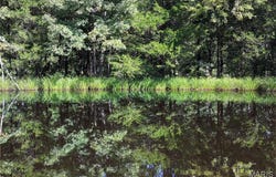 15 Windle Road, Cuba, MO 65453