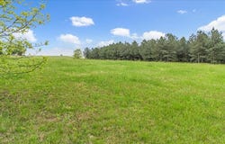 215 Deer Run Drive, Jasper, TN 37347