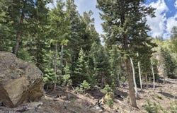 Lot 34 Bonnie Green DR, Duck Creek, UT 84762