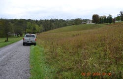 Dutch Hollow, Weston, WV 26452