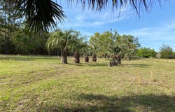 23206 NW 102ND AVENUE, ALACHUA, FL 32615