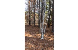 4300 Jeffries Road, Durham, NC 27704