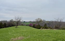 455 Mason Sipple Road, Williamstown, KY 41097