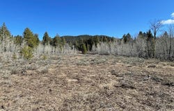 0 Camas Road, Kilgore, ID 83423