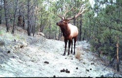 220 Bascom Ln, Melstone, MT 59054