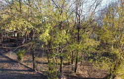 330 E Waco Avenue, Cooper, TX 75432