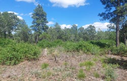 16 Secret Pines Court, Tijeras, NM 87059