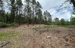 Block 1 Lot 19 Brazos Estates, Chama, NM 87520