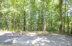 GREYSTONE Drive, FRONT ROYAL, VA 22630