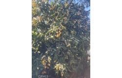 928 W Buffington, Upland, CA 91784