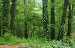 0 Watkins Glen Drive, Kennesaw, GA 30144
