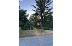 78412 SNAUER LN, Cottage Grove, OR 97424