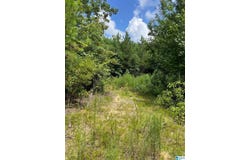 00 CAHABA HILL ROAD, BRIERFIELD, AL 35035