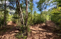 1 Hiers Corner Road, Walterboro, SC 29488