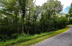 Lots 182, 183, 184 ROCKWOOD TRAIL, WINCHESTER, VA 22602