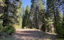 3-G-14 Elk Springs Ct, McCloud, CA 96057
