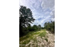 40+/-Acres Luther Davis Road, Lucedale, MS 39452