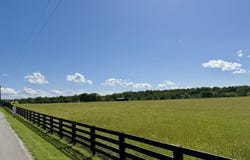 60 Acres Flatwoods Road, Nancy, KY 42544