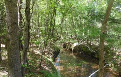 Hwy 25, Lena, MS 39094
