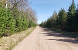 9 South Lake Road, Phillips, WI 54555